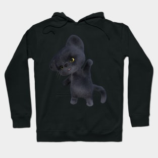 3D rendering of an adorable black Kitten Hoodie